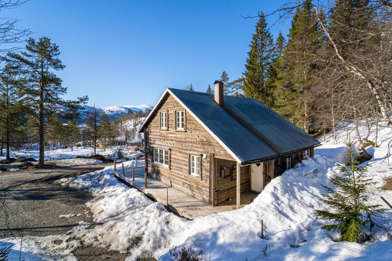 Norgesferie I Sirdal Villa Sinnes Luaran gambar